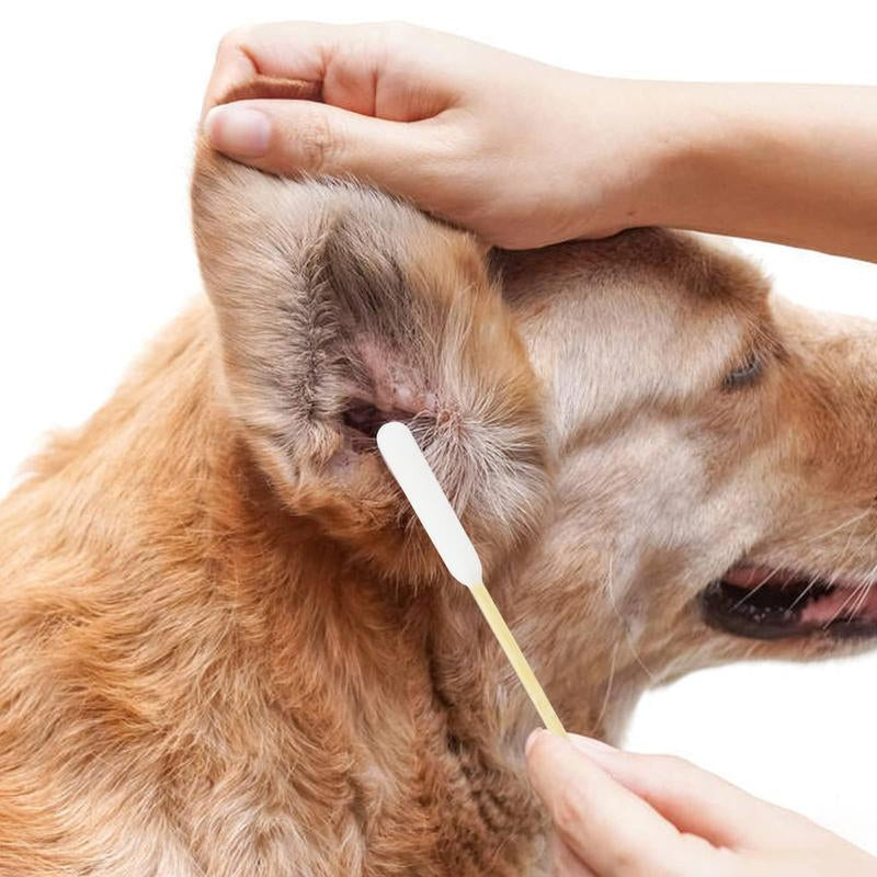 500 Count Dog Q Tips – 6-Inch Cotton Swabs for Dog Ear Cleaning, Wound Care & Pet Grooming Large Cotton Dog Ear Extra Large Natural Dog Large Wooden