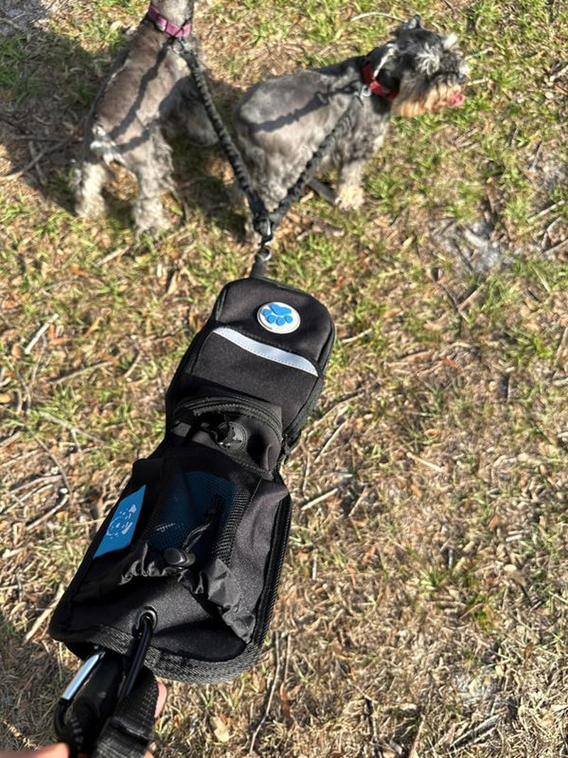 The Ultimate Hands-Free Dog Walking Bag (Black)